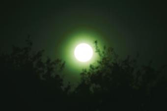 Green Orb Meanings: The Spiritual Messages They Bring