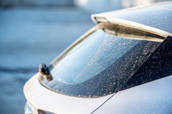 What to Do When Your Car Is Covered With Pollen