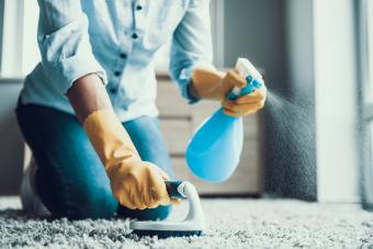 How to Clean Vomit From Carpet ASAP With Odor-Free Results